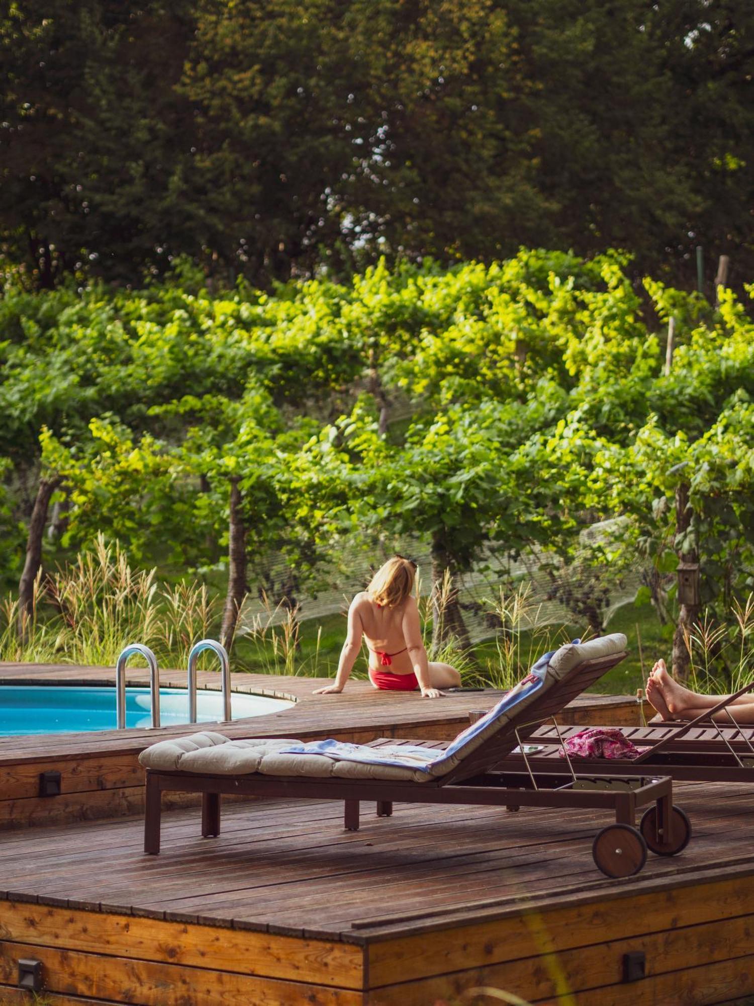 Sen I Wino, Domki Na Winnicy Ze Strefa Spa เชอวีซ ภายนอก รูปภาพ
